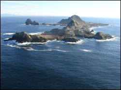 Тойдағы жалаңаш қыз